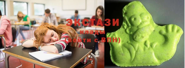 ECSTASY Каменка