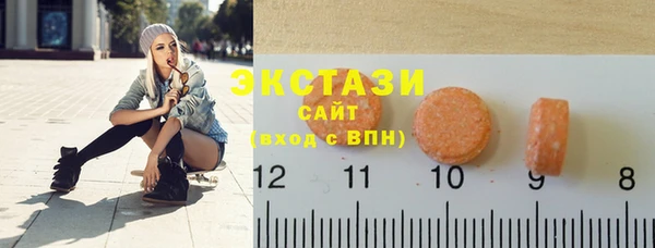 ECSTASY Каменка