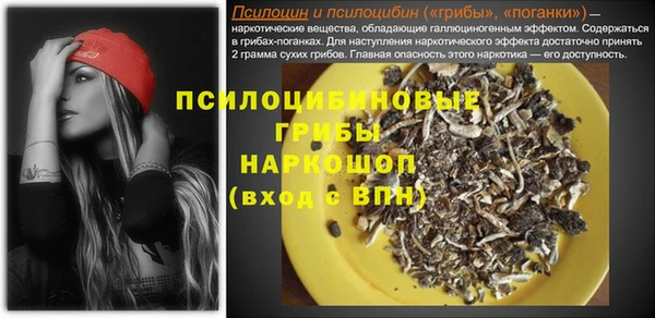 ECSTASY Каменка