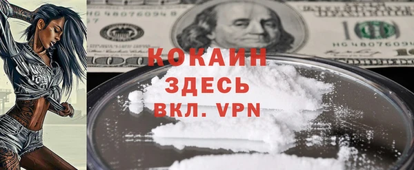 шишки Касимов
