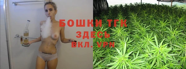 ECSTASY Каменка