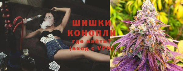 гидра Карпинск