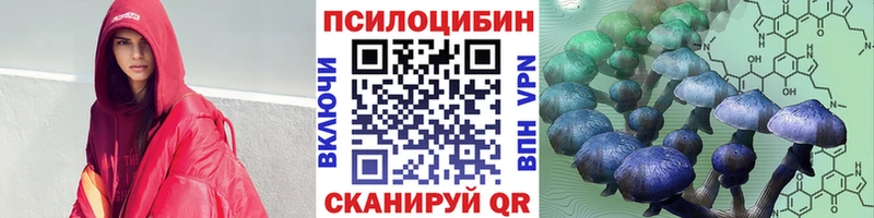 Галлюциногенные грибы Psilocybine cubensis  Купить где  Горячий Ключ 